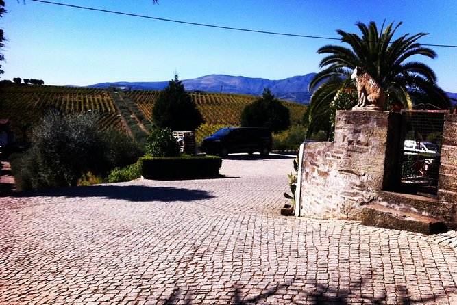 Douro Valley Private Wine and Food Tour From Porto - Pinhão lunch: plan for your own meal and views