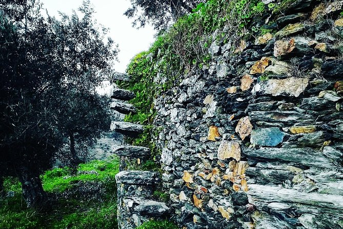 Douro Valley Private Wine and Food Tour From Porto - Transportation and timing: what a 6 to 9 hour day feels like