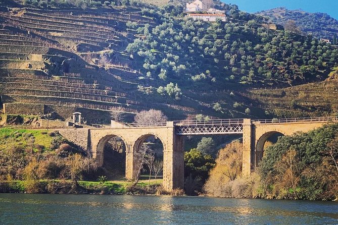 Douro Valley Private Wine and Food Tour From Porto - Price and value: is $217.69 a fair deal?