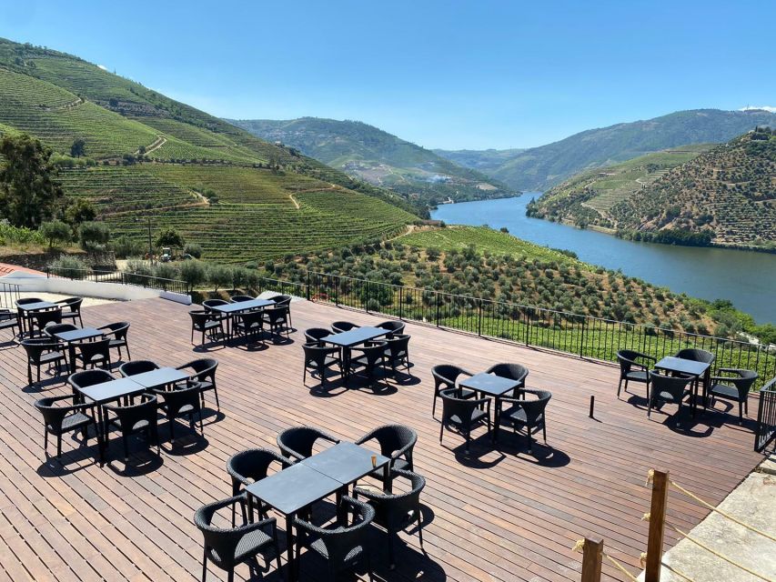Douro Valley: Quinta de S. Luiz Winery Tour and Tasting - Who should book this Quinta de S. Luiz tour