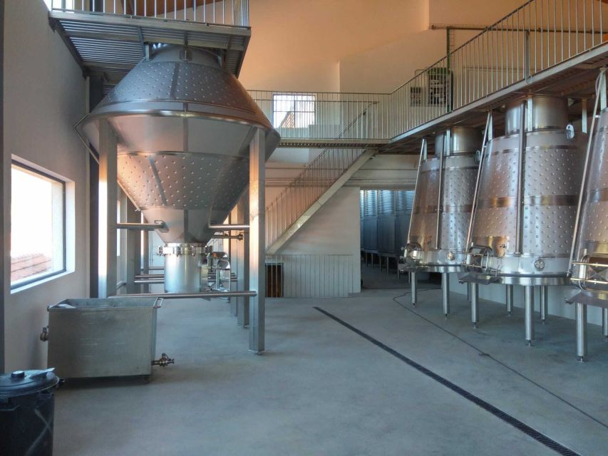 Douro Valley: Quinta de S. Luiz Winery Tour and Tasting - The Rumilã vineyard walk: where growing and harvesting come to life
