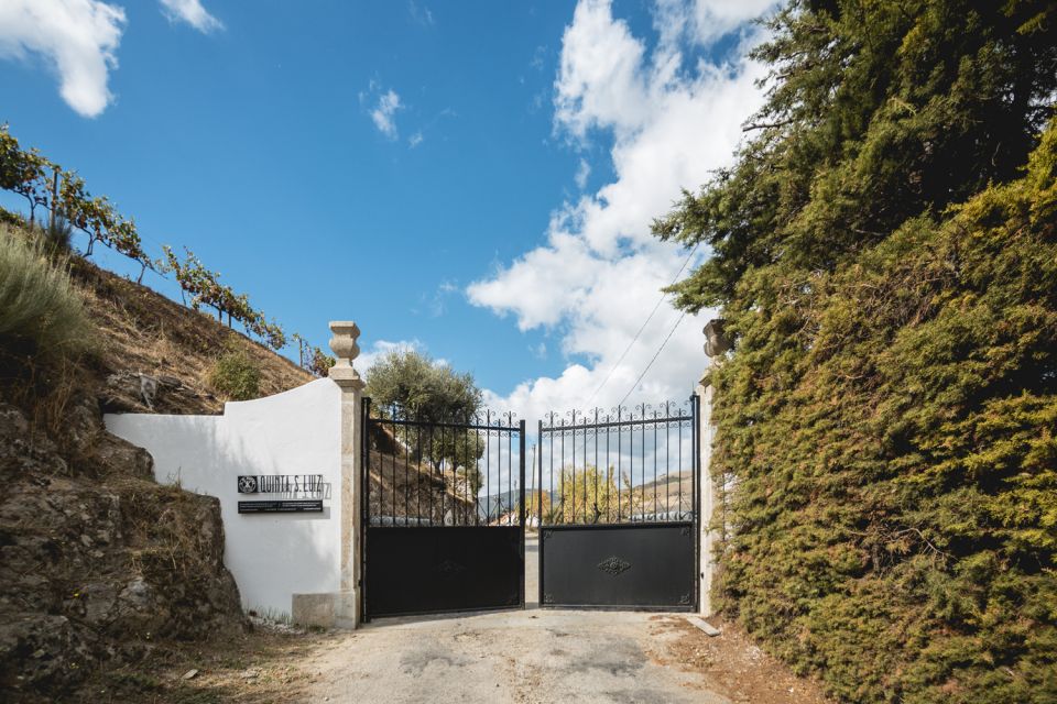 Douro Valley: Quinta de S. Luiz Winery Tour and Tasting - Classic vs premium tastings: how to choose the right session
