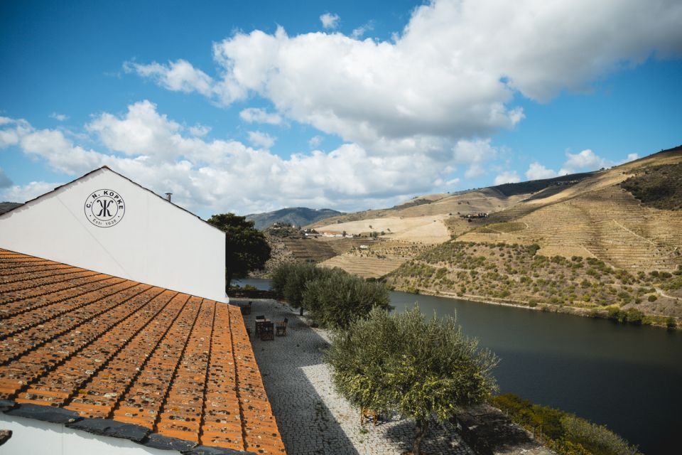 Douro Valley: Quinta de S. Luiz Winery Tour and Tasting - The one-hour schedule: what you’ll learn and what you might not