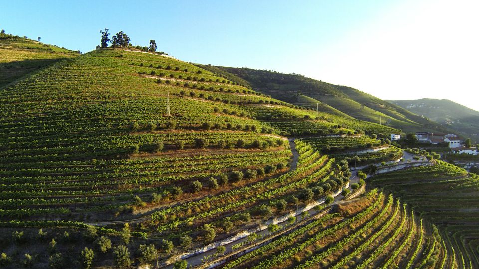 Douro Valley: Quinta de S. Luiz Winery Tour and Tasting - Price and value: is $25 fair for this Douro stop?