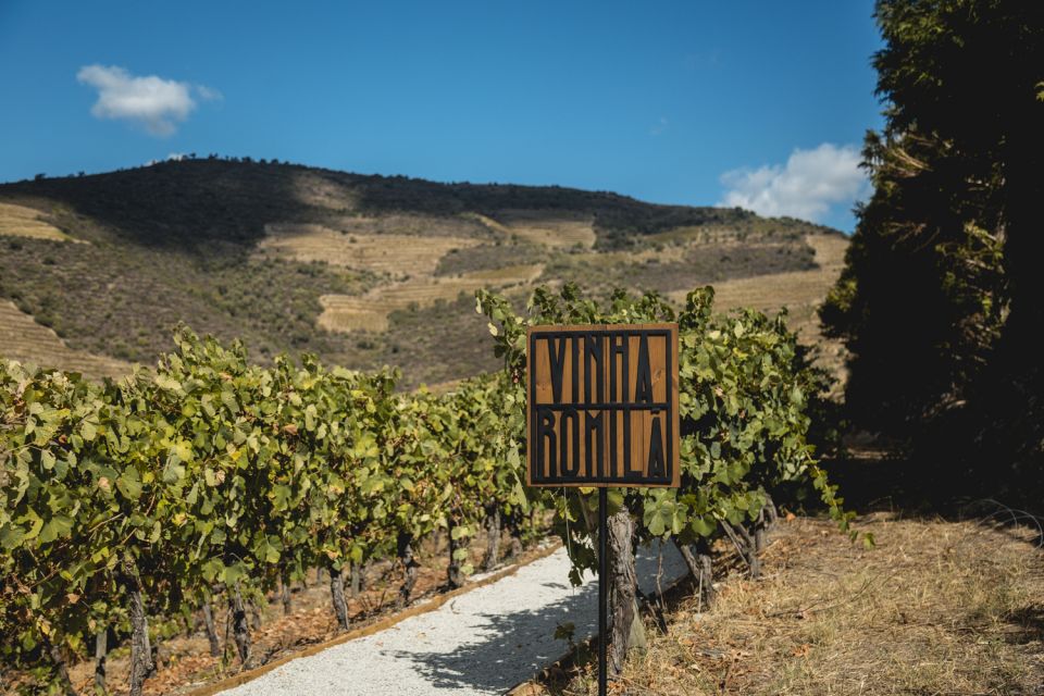 Douro Valley: Quinta de S. Luiz Winery Tour and Tasting - Practical details that matter in the Douro