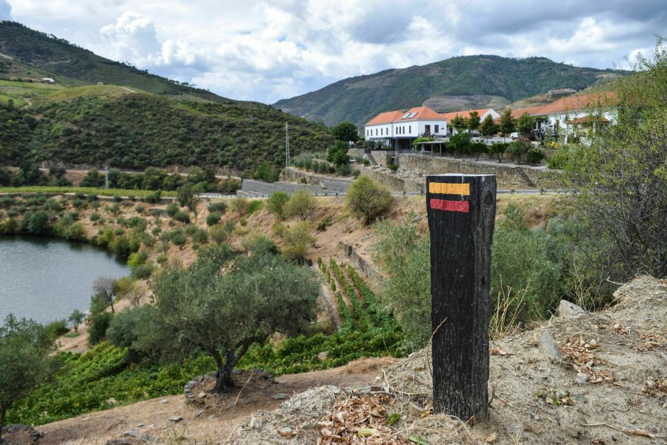 Douro Valley: Quinta do Tedo Wine Experience with Picnic - Why This Douro Picnic Feels Like a Real Break