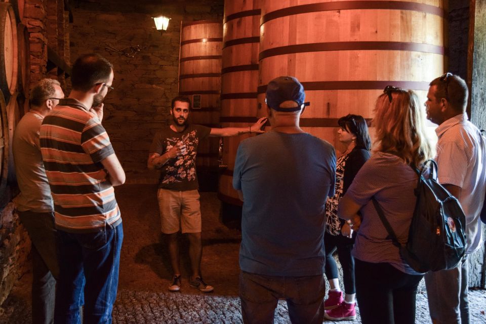 Douro Valley: Quinta do Tedo Wine Experience with Picnic - Meeting Quinta do Tedo: Getting There and Timing That Actually Helps