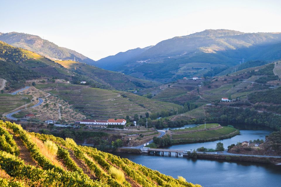 Douro Valley: Quinta do Tedo Wine Experience with Picnic - Winery Time: Vinification Center, Cellars, and Why the Tour Adds Value