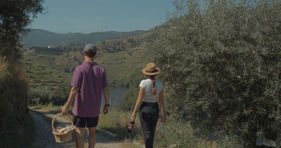 Douro Valley: Quinta do Tedo Wine Experience with Picnic - Price and Value: Is $65 a Good Deal for 3 Hours?