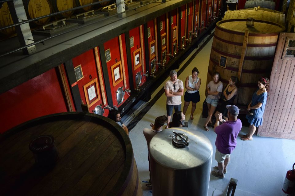 Douro Valley: Quinta do Tedo Wine Experience with Picnic - Weather Plan: Rain, Heat, and the Underground Wine Gallery Option