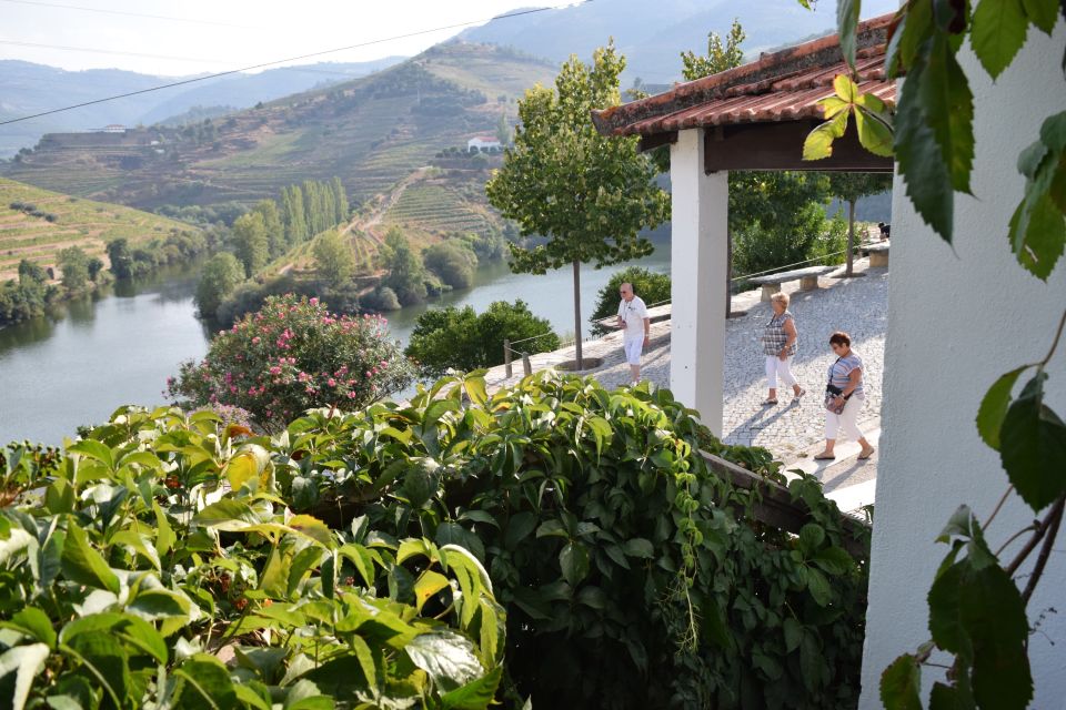 Douro Valley: Quinta do Tedo Wine Experience with Picnic - Should You Book the Quinta do Tedo Picnic Experience?