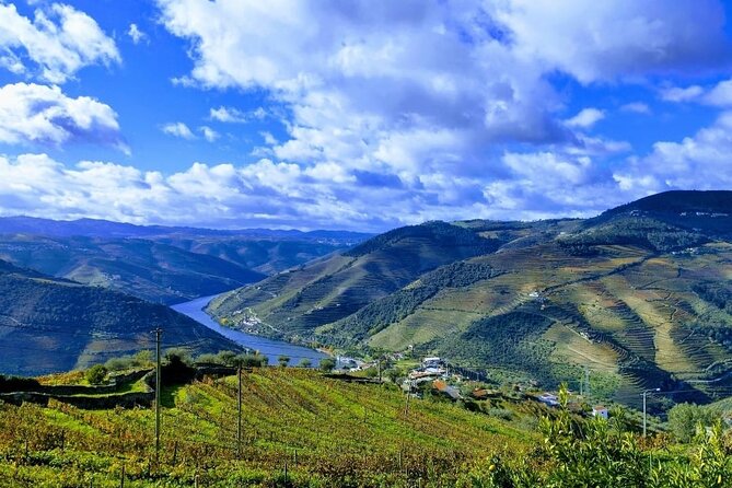 Douro Valley Small-Group Tour: 2 Wineries, Lunch, Optional Cruise - Optional cruise on the Douro River from Pinhão: 50 minutes of views