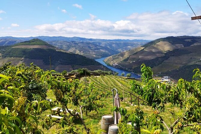 Douro Valley Small-Group Tour: 2 Wineries, Lunch, Optional Cruise - Stop 2: the second winery for Port (and sometimes the extra goodies)