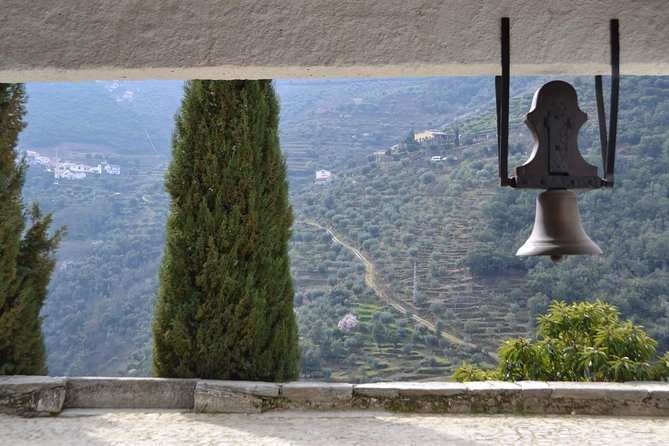 Douro Valley Tour: 2 Vineyard Visits, River Cruise, Winery Lunch - Wine pacing and alcohol reality checks