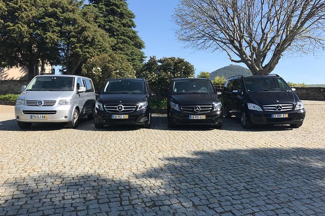 Douro Valley Tour from Peso da Regua - The Douro Valley in One Long Day: How It Really Plays Out