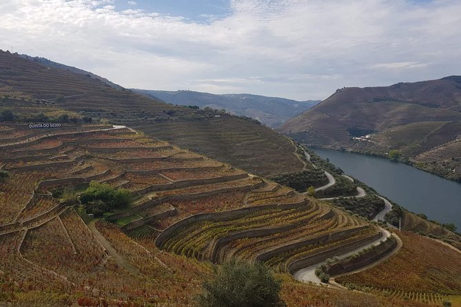 Douro Valley Tour from Peso da Regua - Quinta da Roeda: The Second Winery Stop and What to Expect