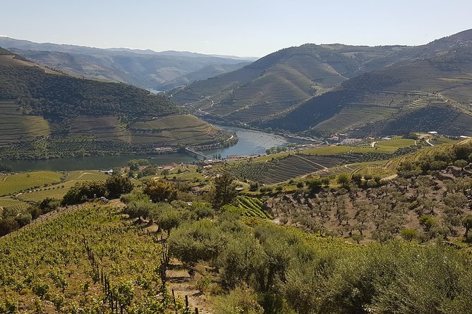 Douro Valley Tour Wine and breathtaking views - Porto to the Douro Valley: how the day actually flows
