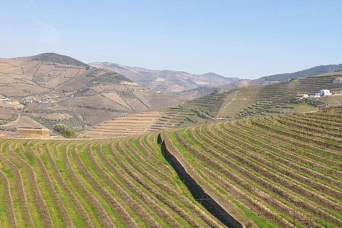 Douro Valley Tour Wine and breathtaking views - Pinhão and the road toward Peso da Régua