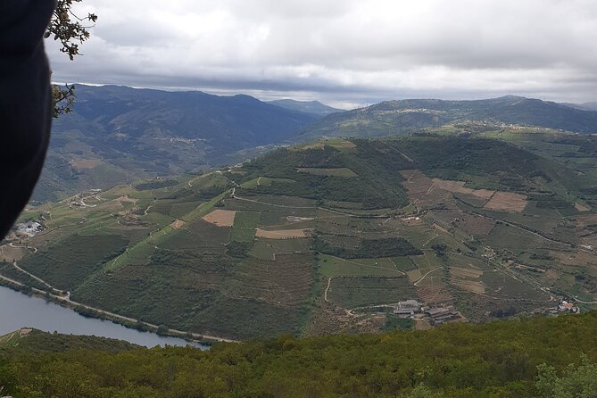 Douro Valley Tour Wine and breathtaking views - Optional add-on choices: Quinta da Pacheca and Casa de Mateus