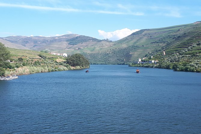 Douro Valley Tour (wine & Food) - Quinta do Seixo and Sandeman: Port wine with a big-name structure