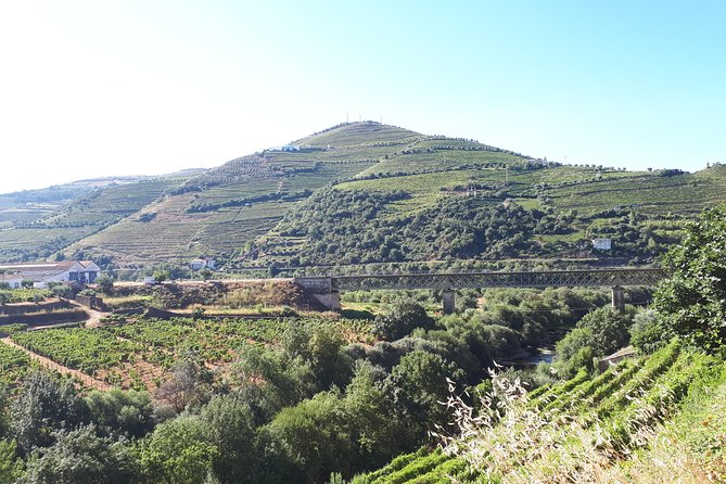 Douro Valley Tour (wine & Food) - Lunch and tastings: why you should confirm what’s included