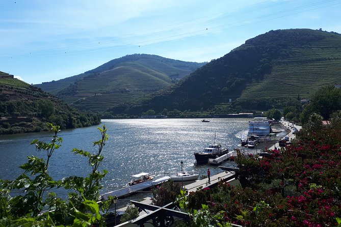 Douro Valley Tour (wine & Food) - Group size and comfort: the private part is the point