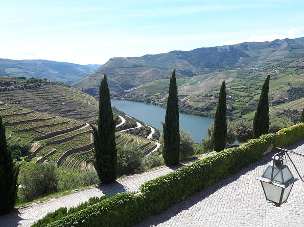 Douro Valley Tour (wine & Food) - Who this Douro day trip fits best