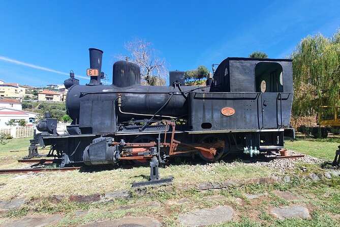 Douro Valley Tour with Train and Vinho Verde - Key things worth looking forward to