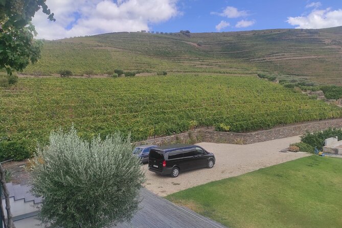 Douro Valley unforgettable experiences - Miradouro Torguiano by São Cristóvão do Douro: A Short Pause That Resets You
