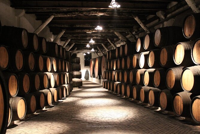 Douro Valley Wine Tour Private Group, 1h Cruise, Lunch from Porto - Pinhão: Port wine tasting followed by the cruise views