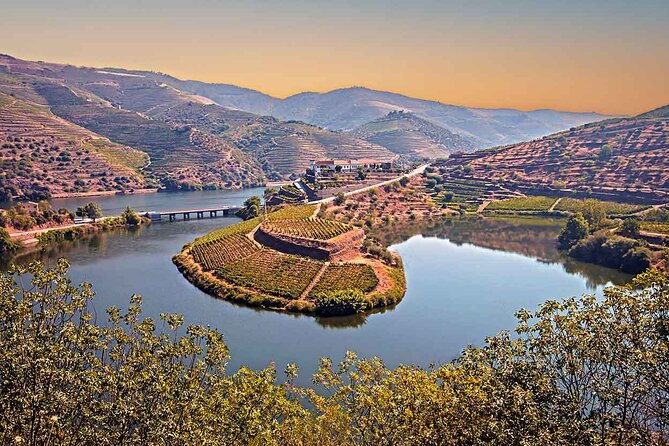 Douro Valley Wine Tour Private Group, 1h Cruise, Lunch from Porto - Back to Porto: a smooth finish without guesswork