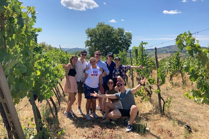 Douro Valley Wine Tour Private Group, 1h Cruise, Lunch from Porto - Price and value: what $167.91 buys you in a full day