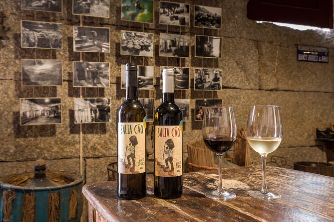 Douro & Vinho Verde: Family Wineries Private Tour in Portugal - Who this tour suits best (and who should choose another plan)