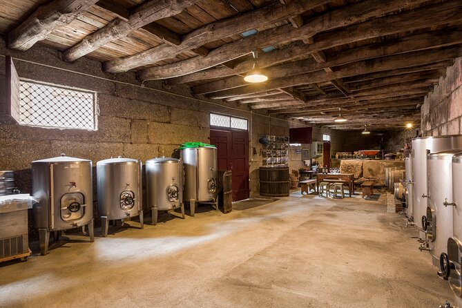 Douro Wine Tasting at a Family Winery in Portugal - Weather, Duration, and How to Plan Your Douro Day
