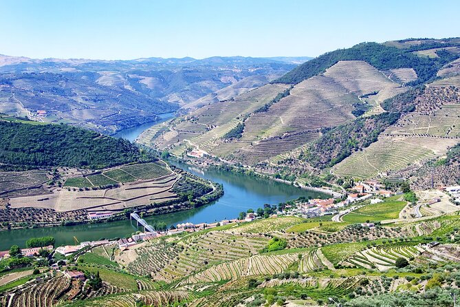 Driver with Private Vehicle in the Douro Valley - Private Douro Valley driving from Peso da Régua: the real advantage