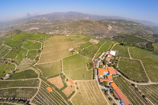 Driver with Private Vehicle in the Douro Valley - How the 9-hour day works (pickup, vehicle size, and timing)