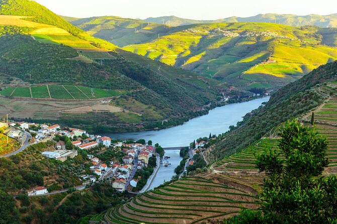Driver with Private Vehicle in the Douro Valley - Who this tour suits best (and who should look elsewhere)