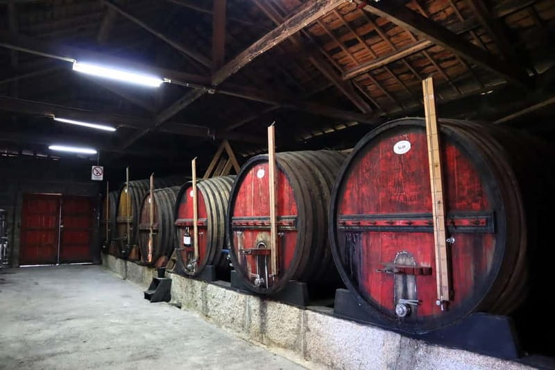 Exclusive Douro Valley: 3 Wineries, 9 Wine Tastings & Lunch - Leaving Porto for the Douro Valley: the early start and scenic N222 payoff