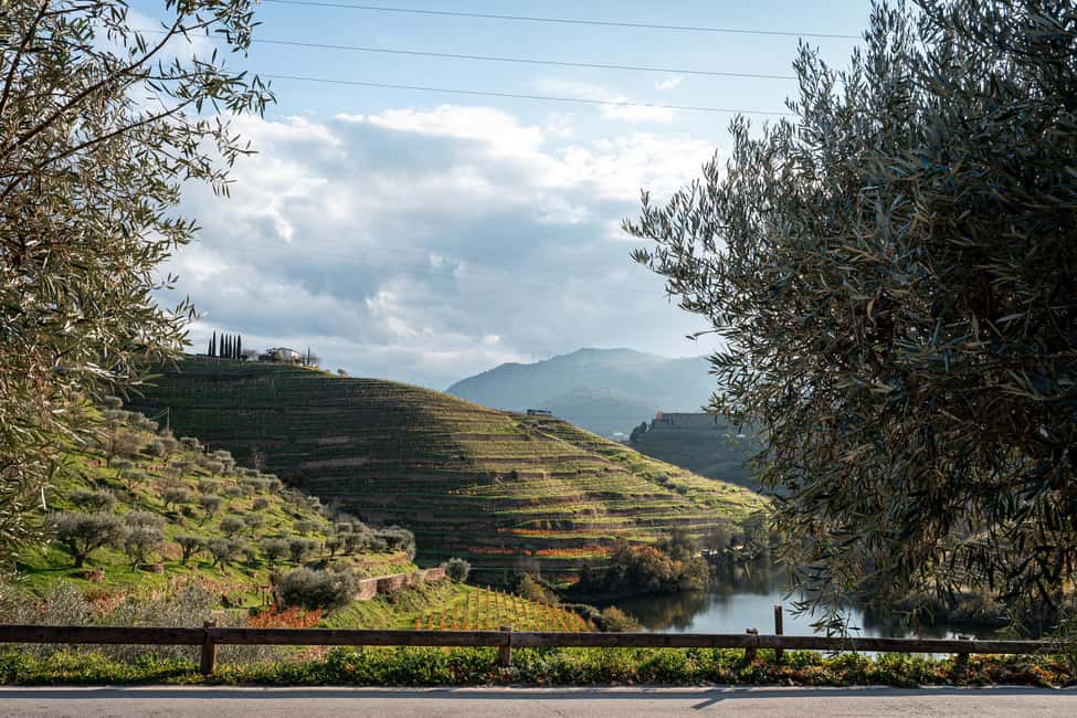 Exclusive Douro Valley: 3 Wineries, 9 Wine Tastings & Lunch - Stop 3 in Pinhão: Vintage Port tasting with classic Douro scenery