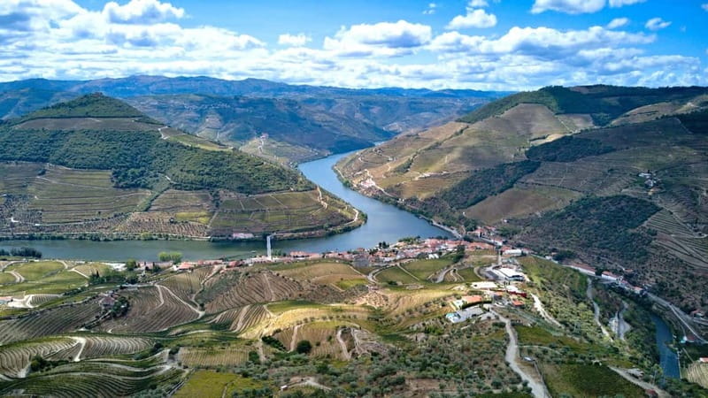 Exclusive Douro Valley: 3 Wineries, 9 Wine Tastings & Lunch - Who this tour suits best (and who should think twice)