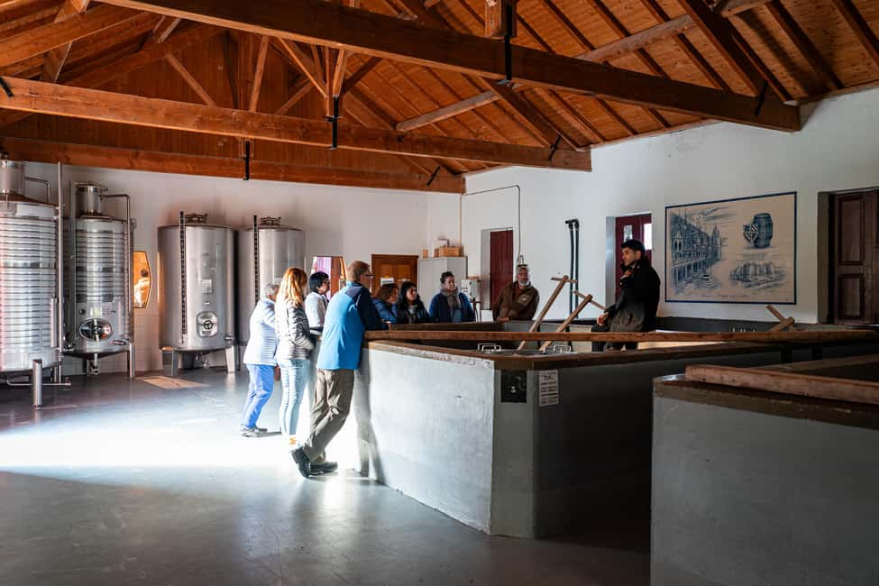 Exclusive Douro Valley: 3 Wineries, 9 Wine Tastings & Lunch - Value check: is $153 per person a fair deal?