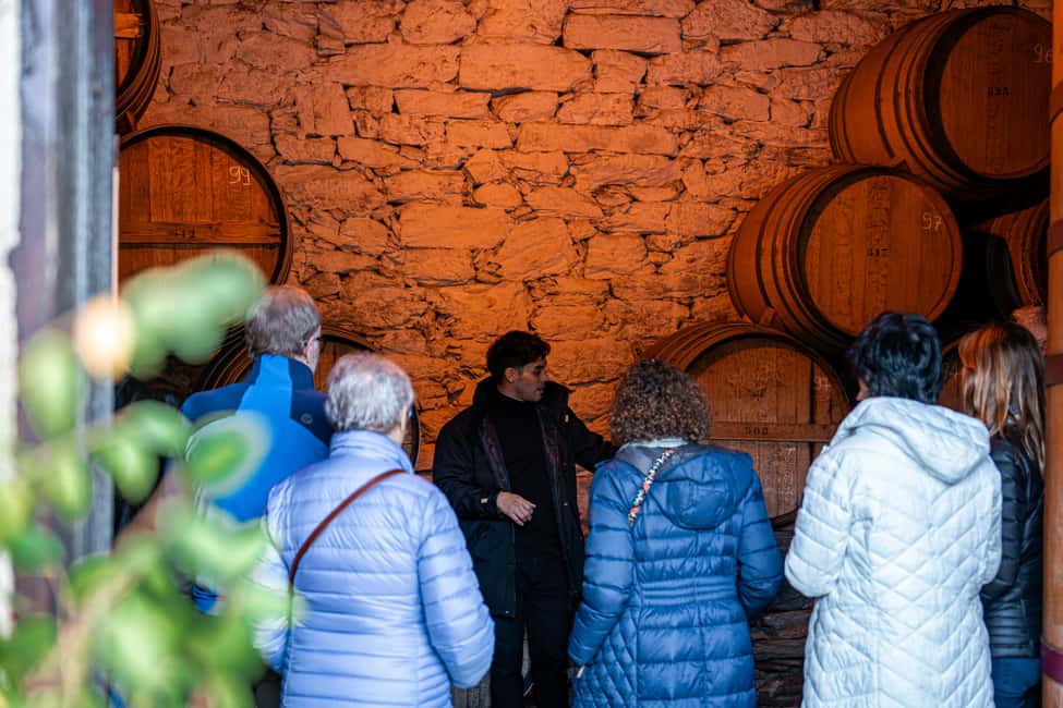 Exclusive Douro Valley: 3 Wineries, 9 Wine Tastings & Lunch - What the timing feels like in real life