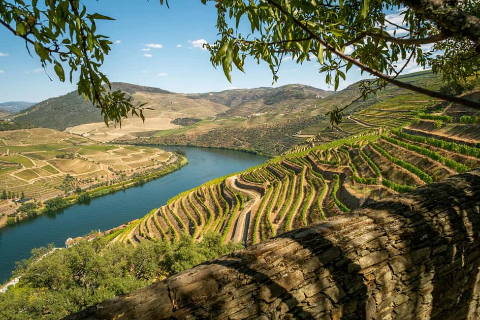Exclusive Douro Valley: 3 Wineries, 9 Wine Tastings & Lunch - Stop 1: guided Port tour, the lagar photo, and the first tasting