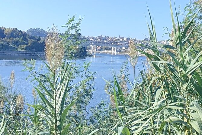 Excursion in Porto for sport lovers - What’s included, what costs extra, and how to budget