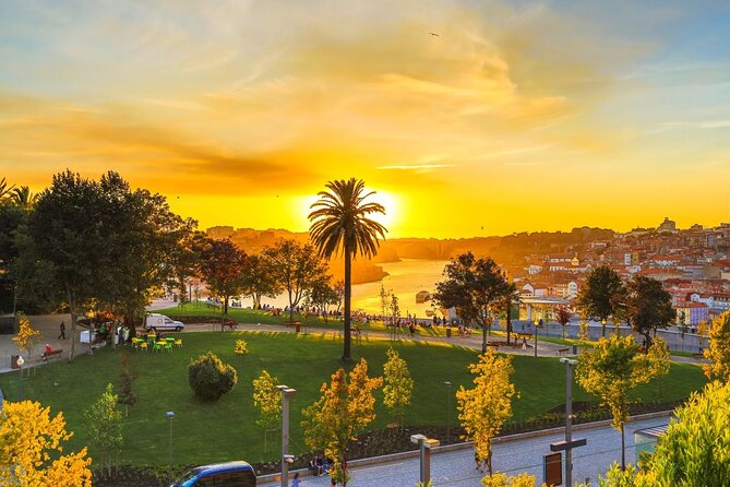 Excursion in Porto for sport lovers - Logistics that feel easy: meeting point, transport, and pacing