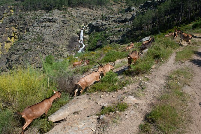 Fisgas de Ermelo Trail - Stop 2: Cascata Fisgas do Ermelo (the main event)