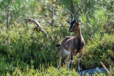Fisgas de Ermelo Trail - Stop 1: Parque Natural do Alvão (the walk starts with the story)
