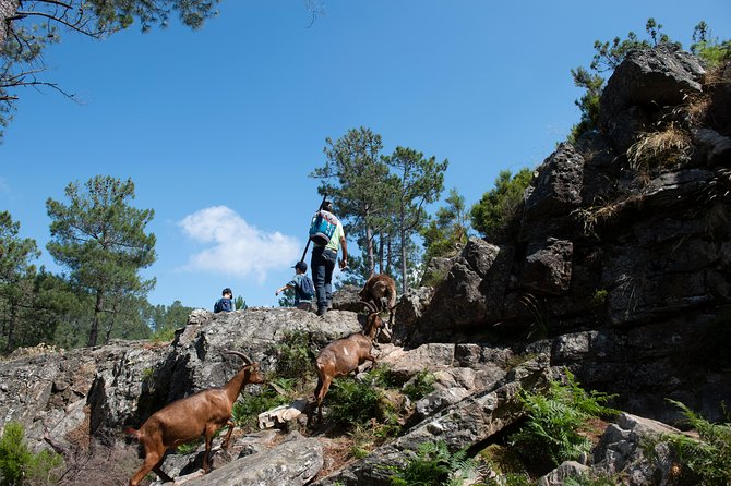 Fisgas de Ermelo Trail - The food stop is not an afterthought