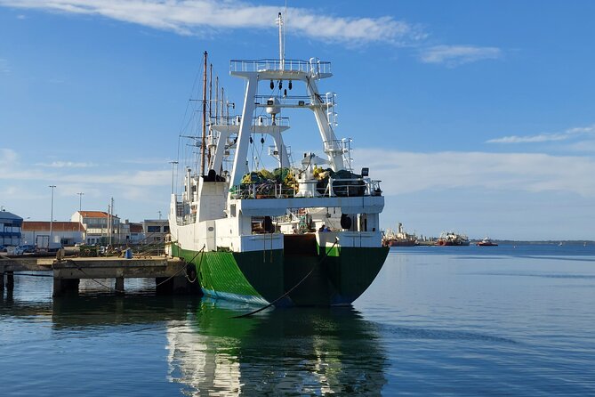 From Aveiro: Costa Nova, Barra, Vista Alegre - Half-Day Trip - Price and value: what $132.45 per group really buys you