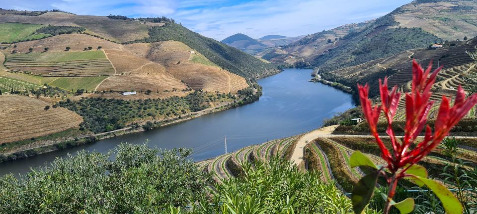 From Peso da Régua: Visit 3 wineries, tasting and viewpoint - Key highlights you’ll feel right away